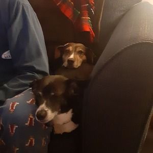 Meet your Posher, Stephen